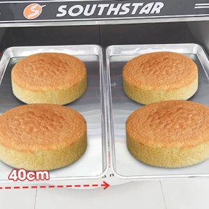 Khay-nuong-lo-nuong-southstar-1-buong-2-khay-1